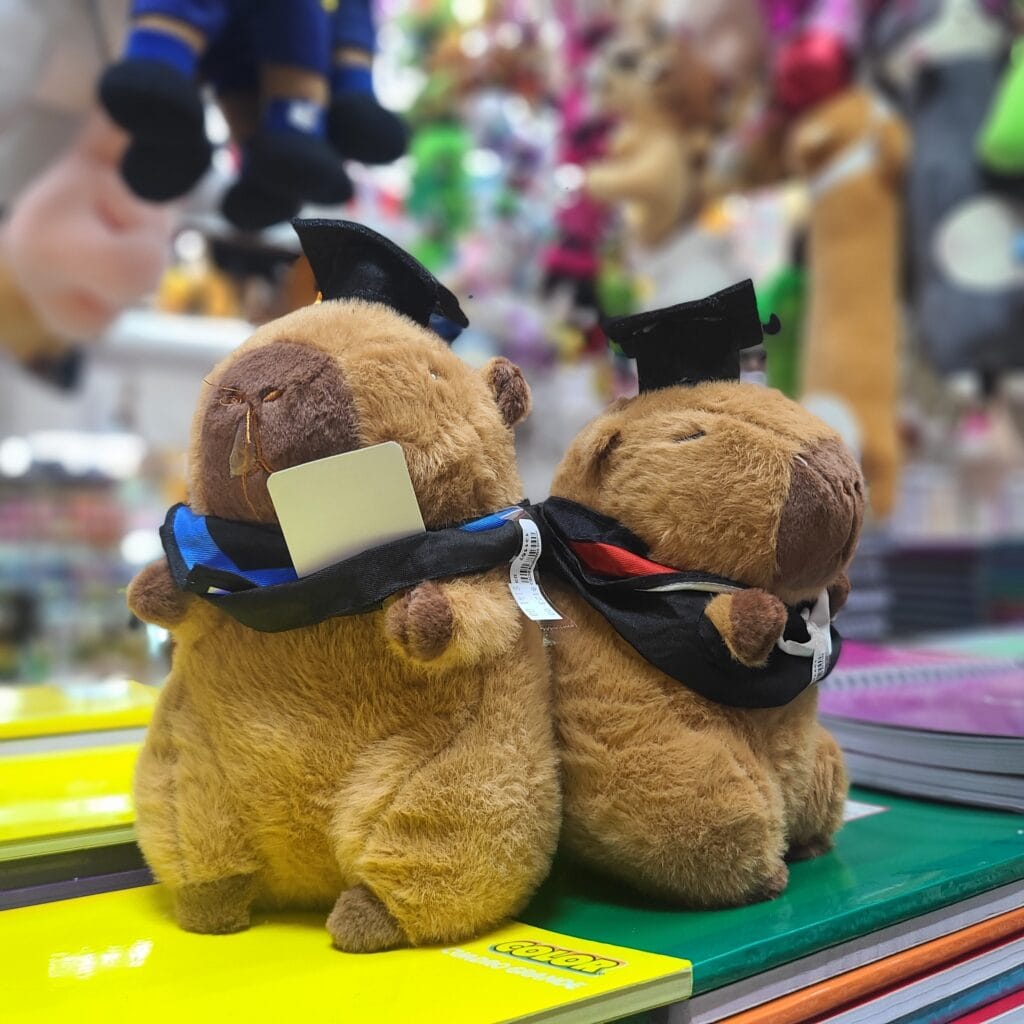 Capibara de peluche regalo de graduación La Victoria Orizaba