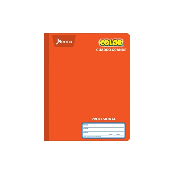 LIBRETA NORMA PROF COSIDO 100H C7MM