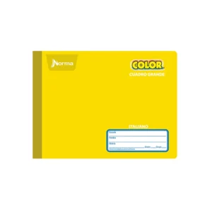 CUADERNO ITAL NORMA COSIDO 100H C7MM